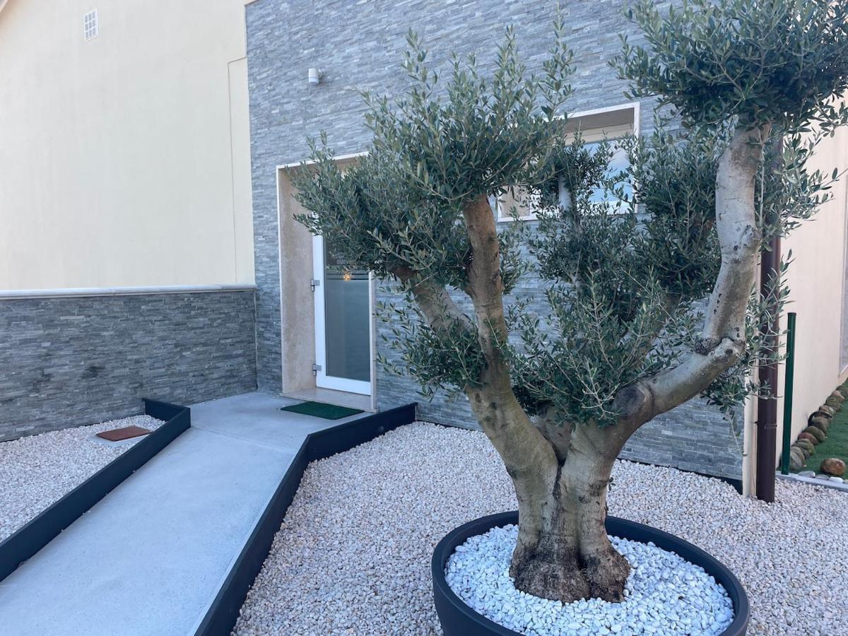 Borgo Terra Village Fagagna Eksteriør billede